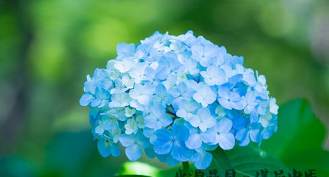 夏至是几月几日