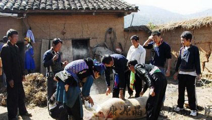 彝族怎么过春节_彝族春节习俗