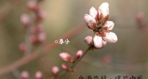 春分的含义