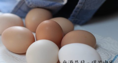 春分竖蛋习俗
