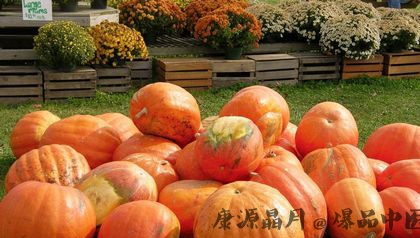 加拿大感恩节习俗大盘点