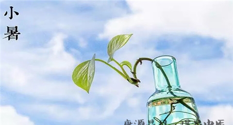 小暑节气要吃三宝