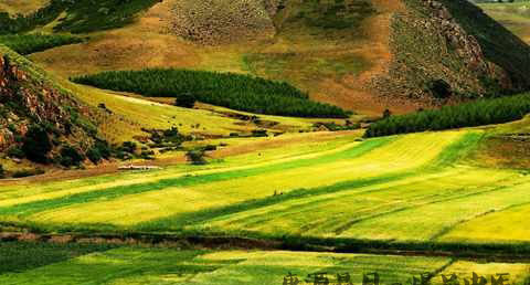 处暑过后还热吗