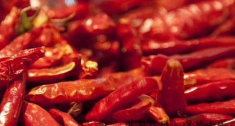 立春节气吃什么