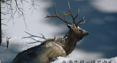 冬至是什么时候