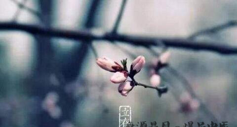闰月有什么讲究
