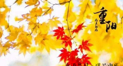 重阳节应该怎么过