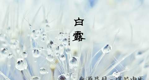 秋季白露养生常识