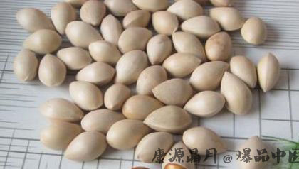 霜降养生要吃12种水果