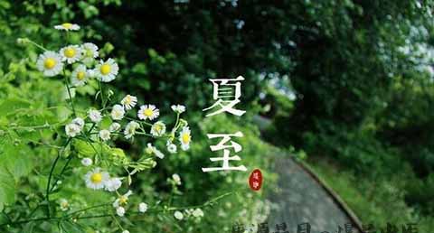 夏至喝什么汤好