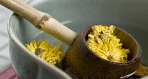 重阳节要干什么