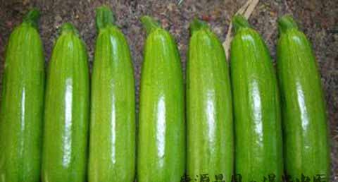 大雪节气养生汤