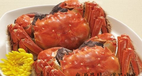 霜降时候吃母蟹好还是公蟹