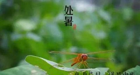 处暑是在什么季节