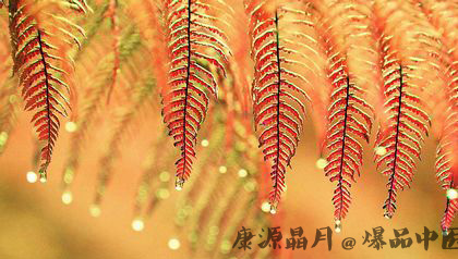 2014寒露是什么时候？天气还热吗