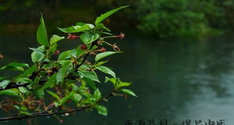 寒食节的由来