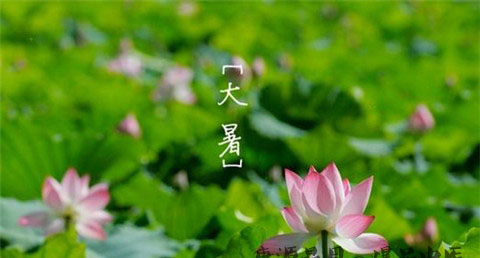 小暑大暑立秋处暑各代表什么