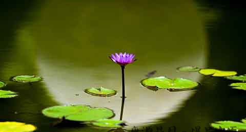 东北小满节气什么天气