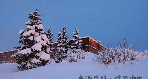 大雪节气是哪天