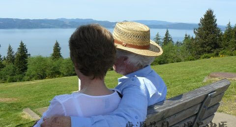 属鸡的属相婚配表