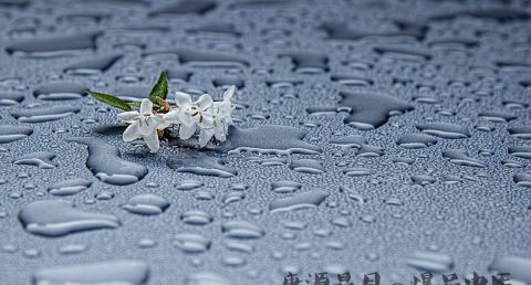 雨水节气的特点