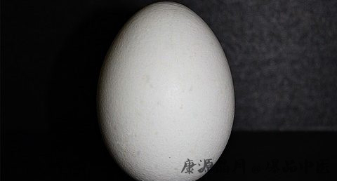 春分立蛋的原理