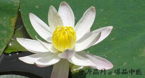 谷雨节气吃什么好