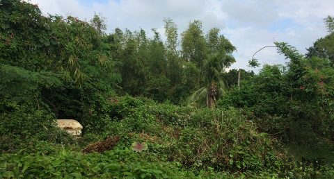 白事多长时间后走亲戚