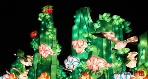 元宵节赏花灯的由来