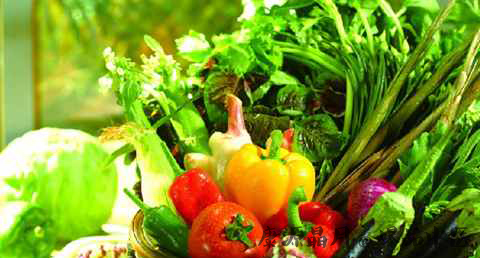 大暑吃什么蔬菜好