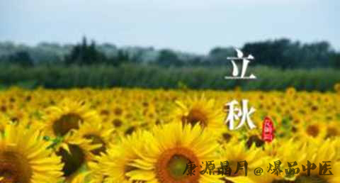 立秋养生汤有哪些