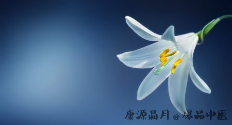 母亲节送什么花