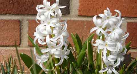 雨水节气如何慎防过敏