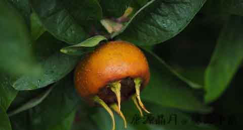 小满节气的天气