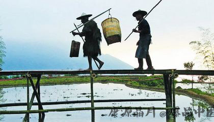 芒种节气的日常养生