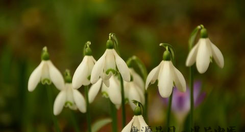 立春节气的由来