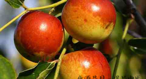 立冬吃什么传统食物