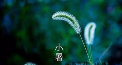 小暑大暑立秋处暑各代表什么