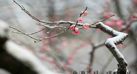 大寒为什么不能生火