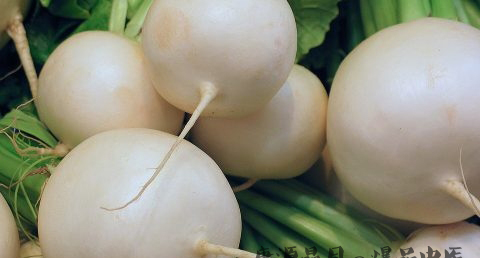 小雪节气吃那些食物好