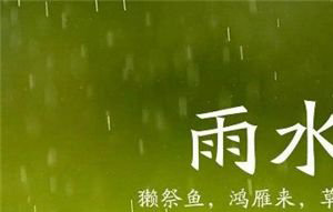 雨水节气养生注意事项