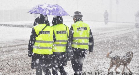 大雪节气会下雪吗