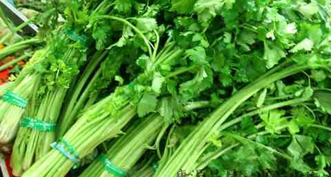 秋分吃什么蔬菜