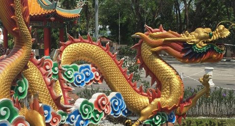 舞龙为什么成为中华民族传统文化