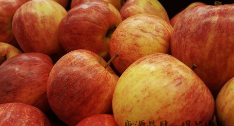 春节饮食小常识是什么