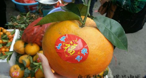 潮汕过年吃什么