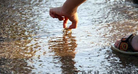 小满节气会下雨吗
