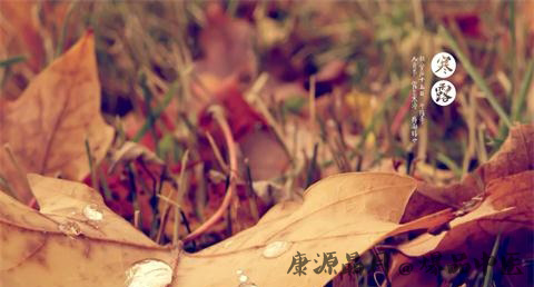 寒露是什么意思