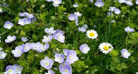 雨水节气如何饮食养生