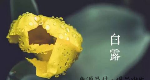 白露是什么意思
